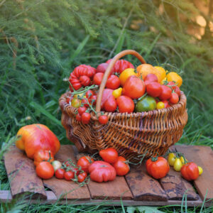 Lee más sobre el artículo TOMATES RELLENOS ALICANTINOS